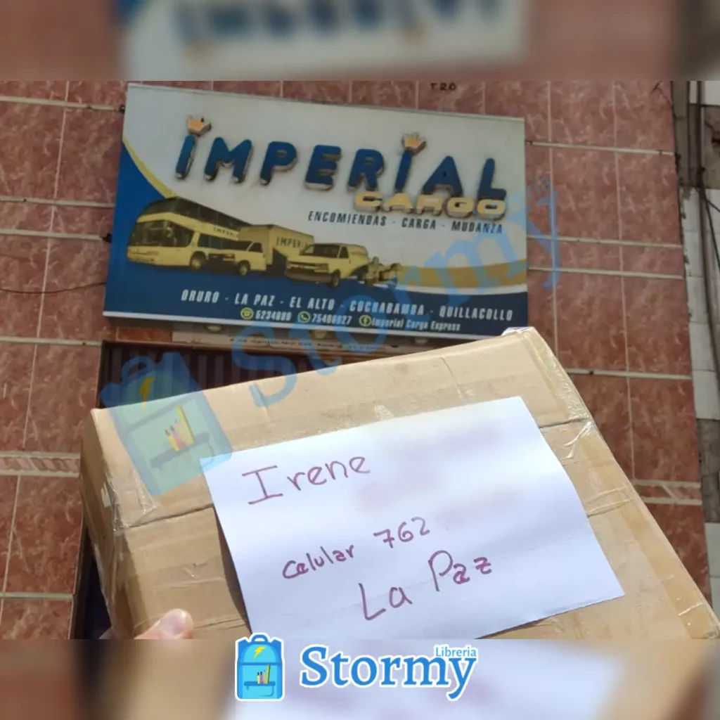Envio a La Paz de librería Stormy - Lettering y apuntes bonitos