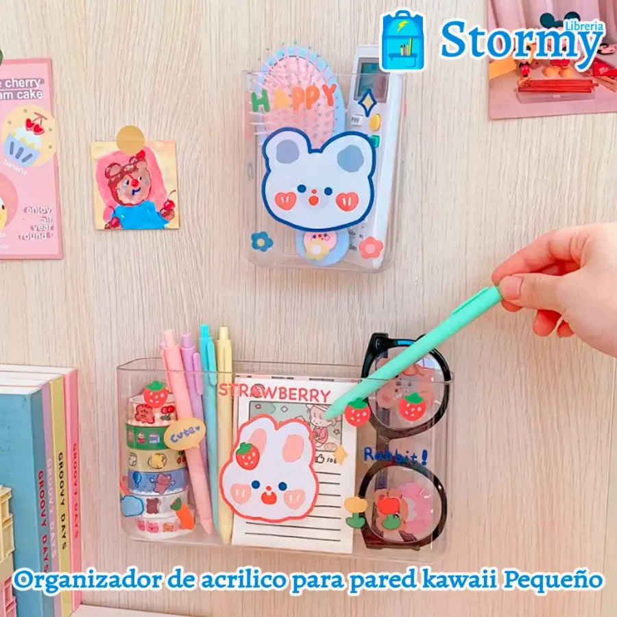 organizador kawaii PEQUEÑO 1