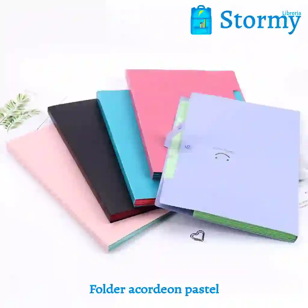 Folder acordeon pastel - Libreria Stormy
