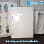 Hojas beige tama;o b5 cuadriculadas