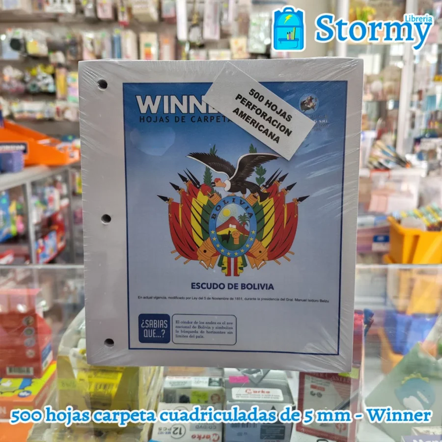 500 hojas carpeta cuadriculadas winner de 5 mm