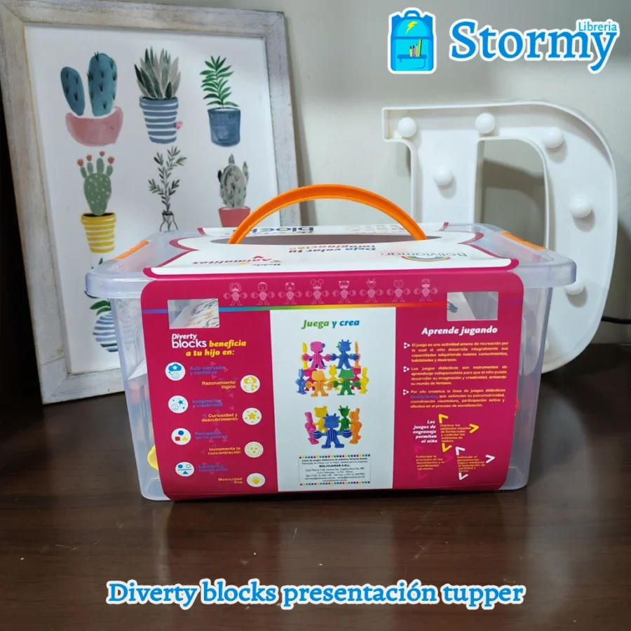 Diverty blocks presentaciíon caja6
