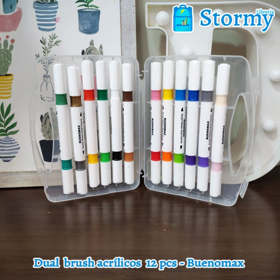 Dual brush acrilicos 12 pcs buenomax1