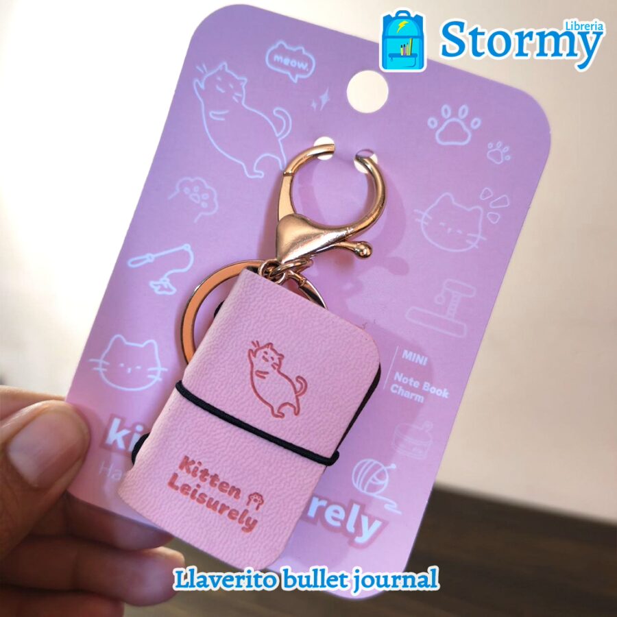 Llaverito bullet journal2