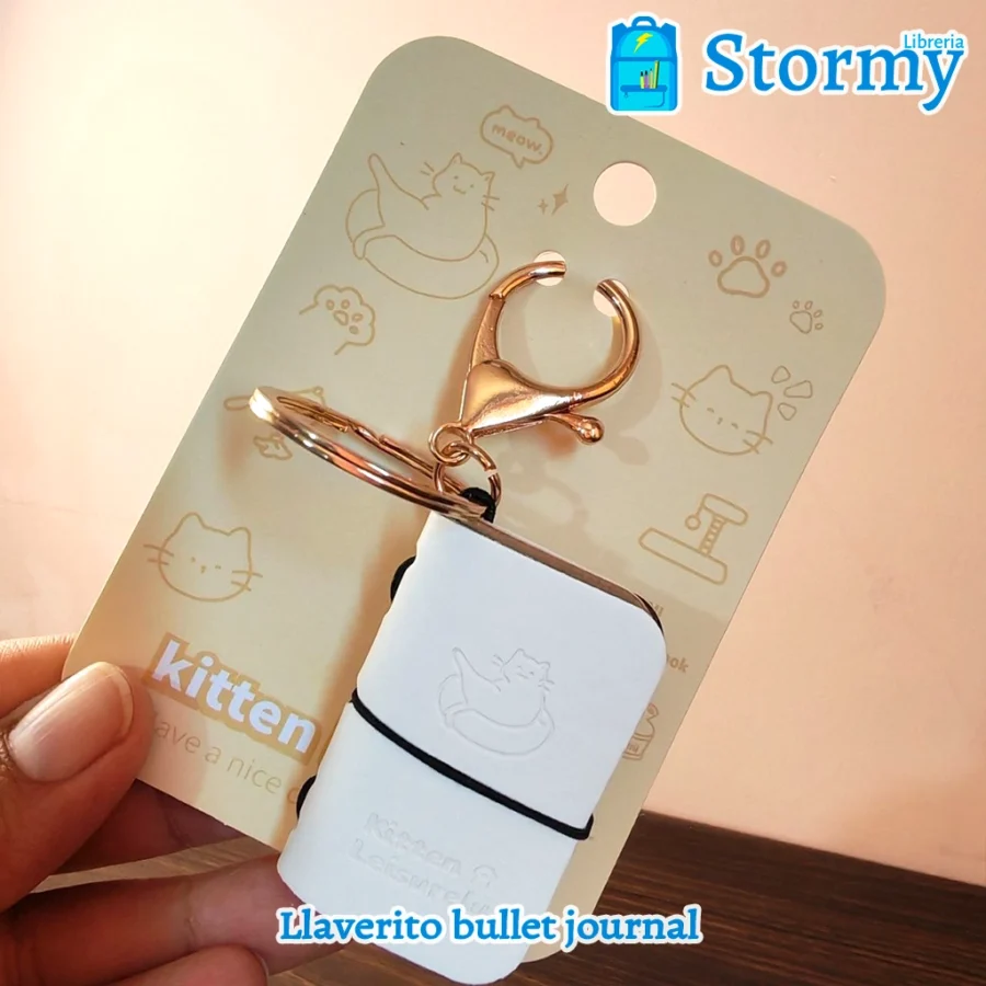 Llaverito bullet journal3