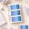 binder lector 4